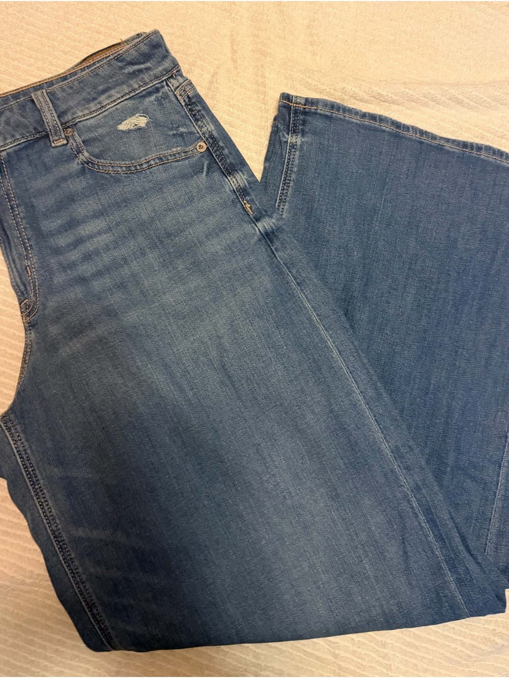 American Eagle Outfitters Medium Blue Low-Rise Baggy Wide Leg Jeans